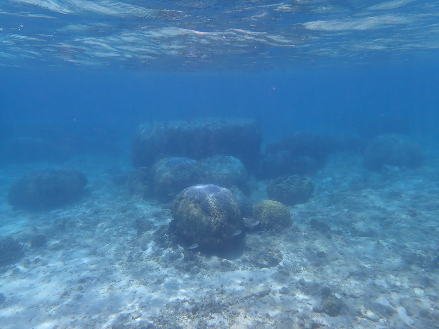 穏やかな水面の沖から見た広大な浜と空