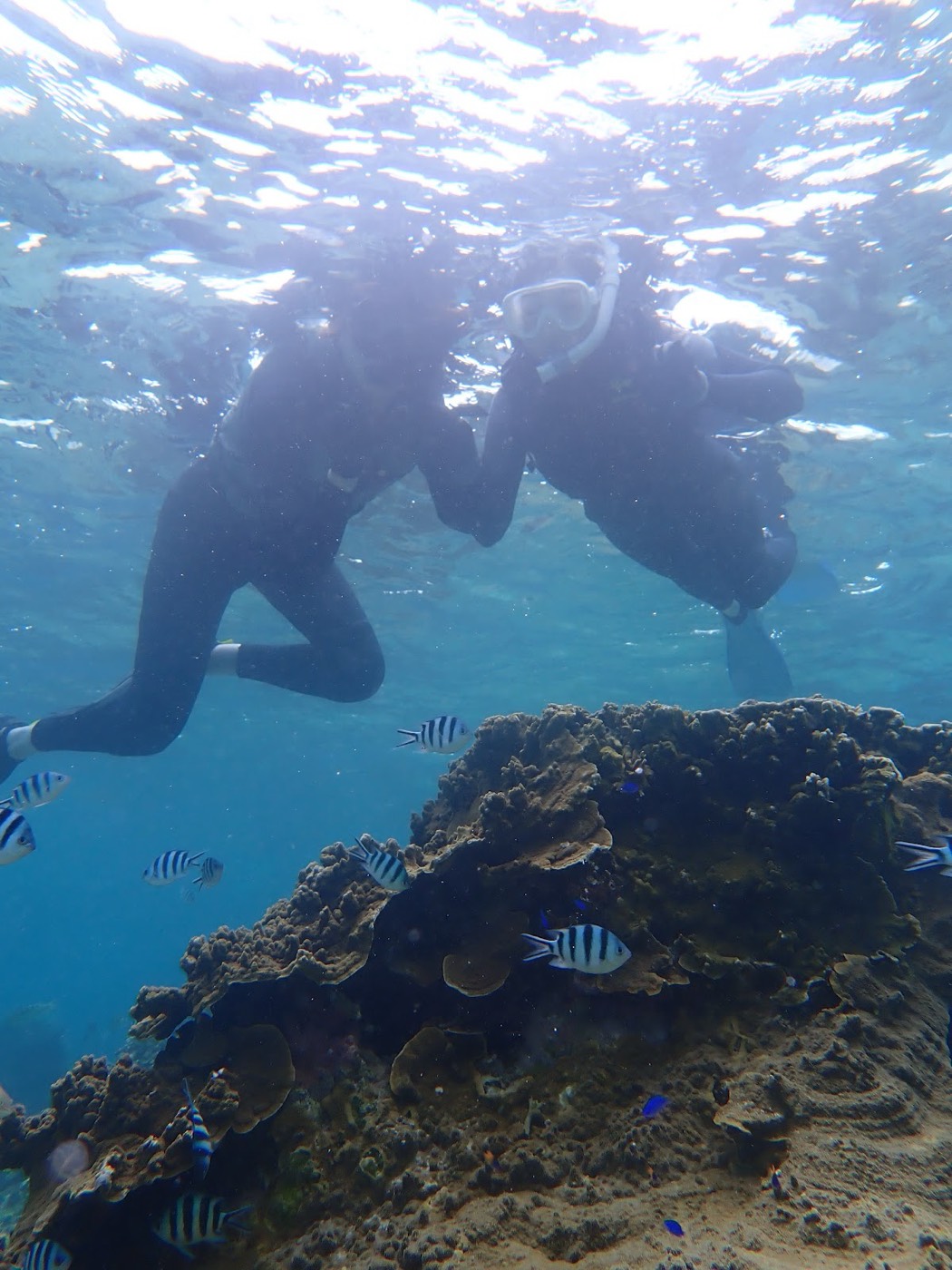 天然水族感で紹介する、小雨模様の空の下、静かな波打ち際とリーフの様子が広がるの海岸風景