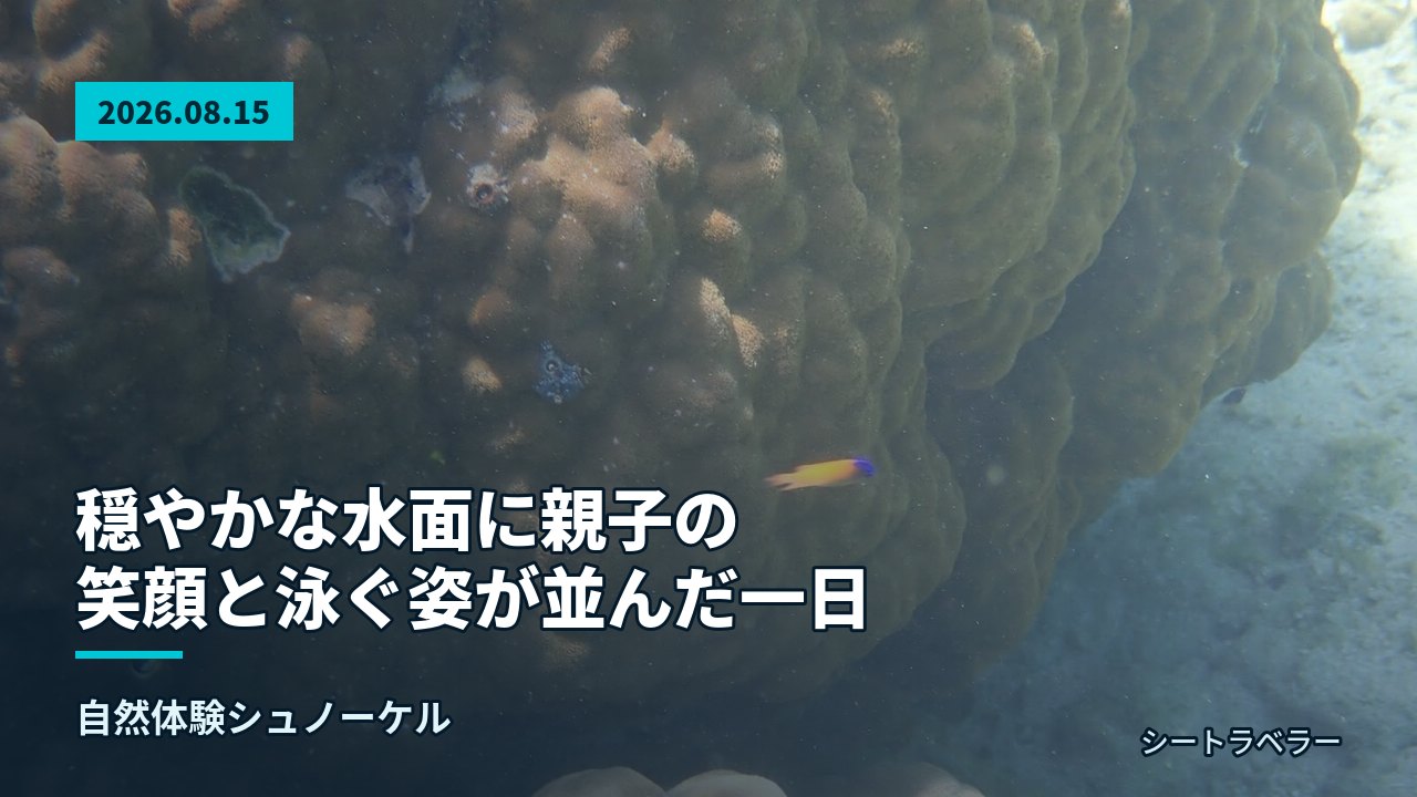 海底の大きなサンゴのそばを鮮やかな色の魚が泳いでいる