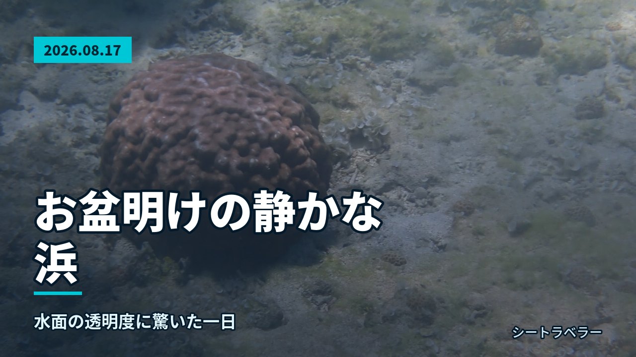 浜辺でライフジャケットとフロートを装着し、スタッフと器材を確認する様子