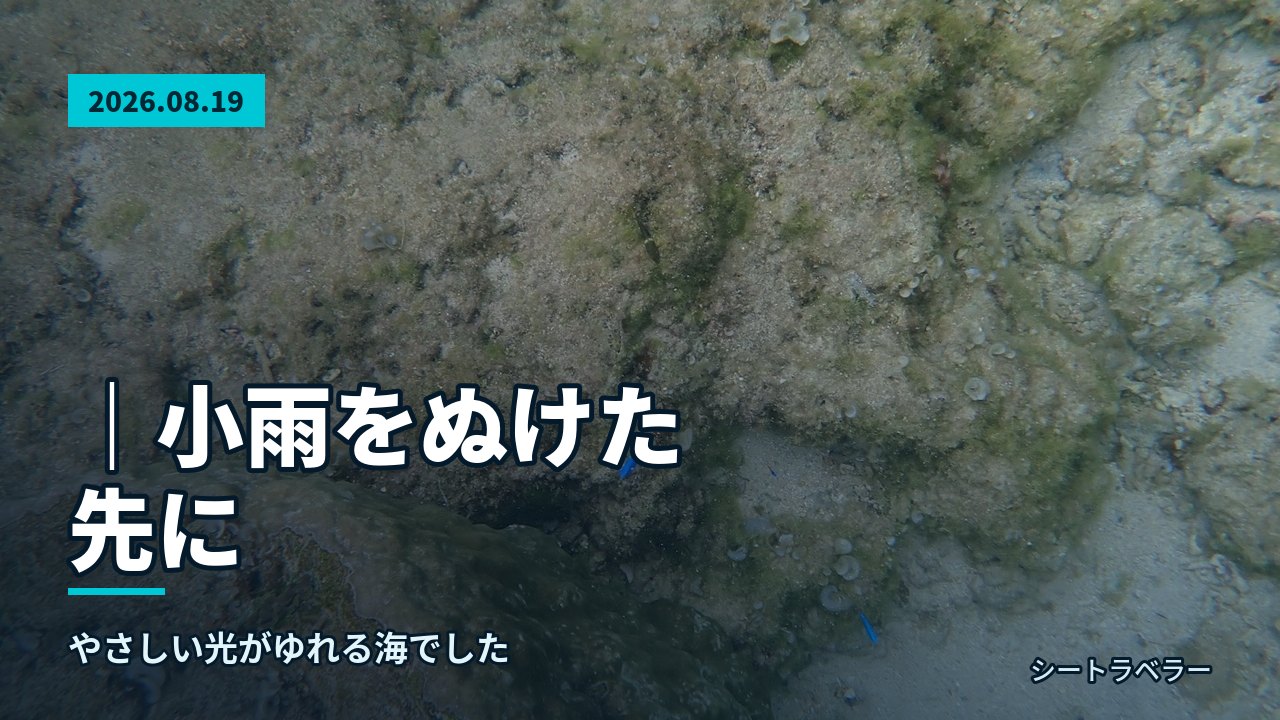 2026年8月19日|小雨をぬけた先に、やさしい光がゆれる海でした