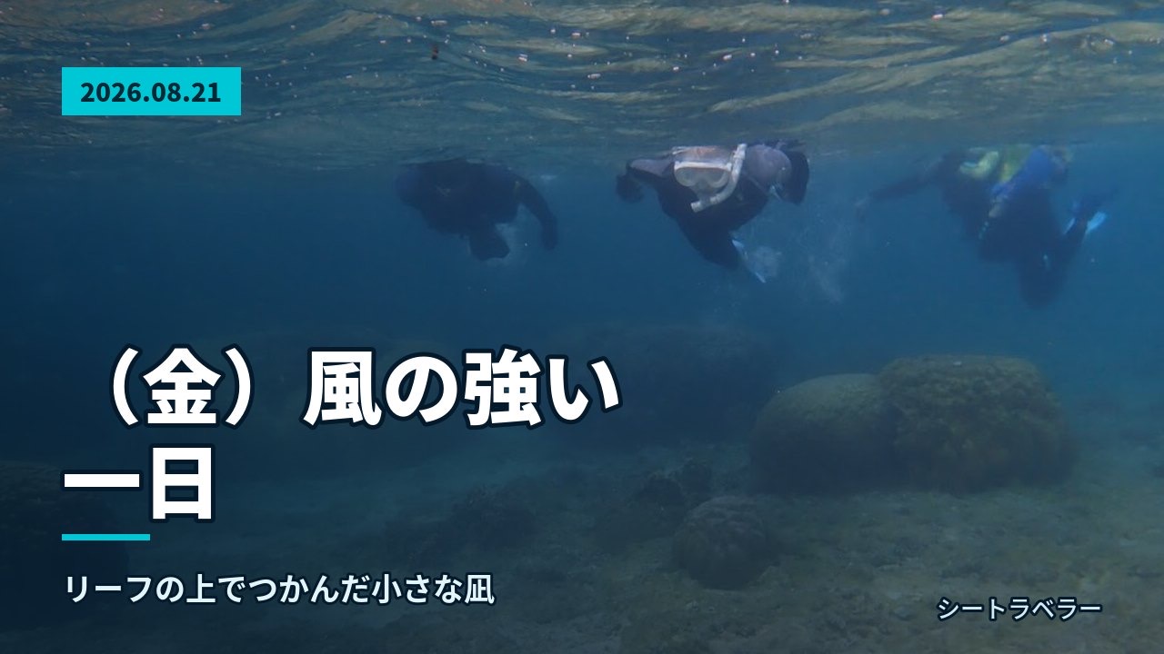 2026年8月21日(金)風の強い一日、リーフの上でつかんだ小さな凪