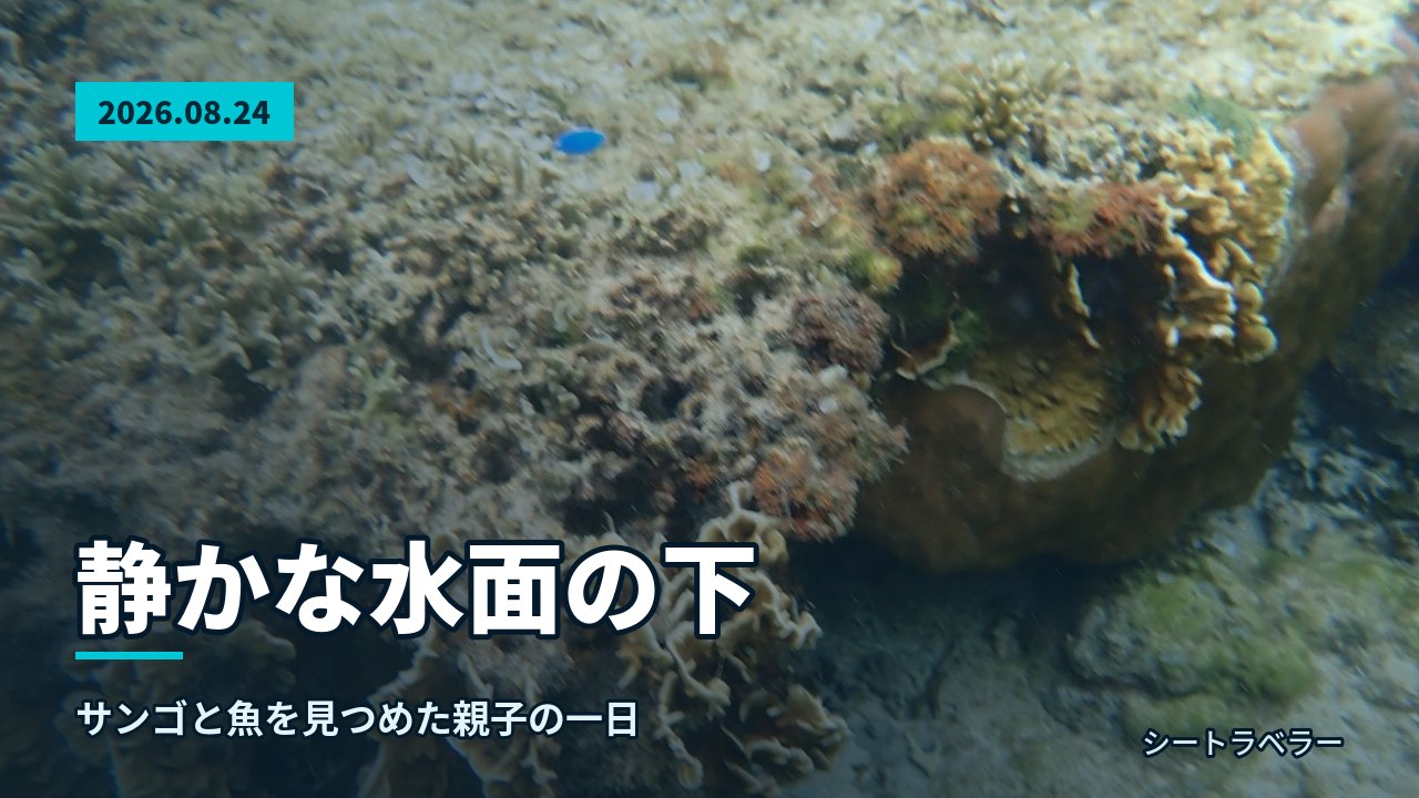 2026年8月24日 静かな水面の下、サンゴと魚を見つめた親子の一日