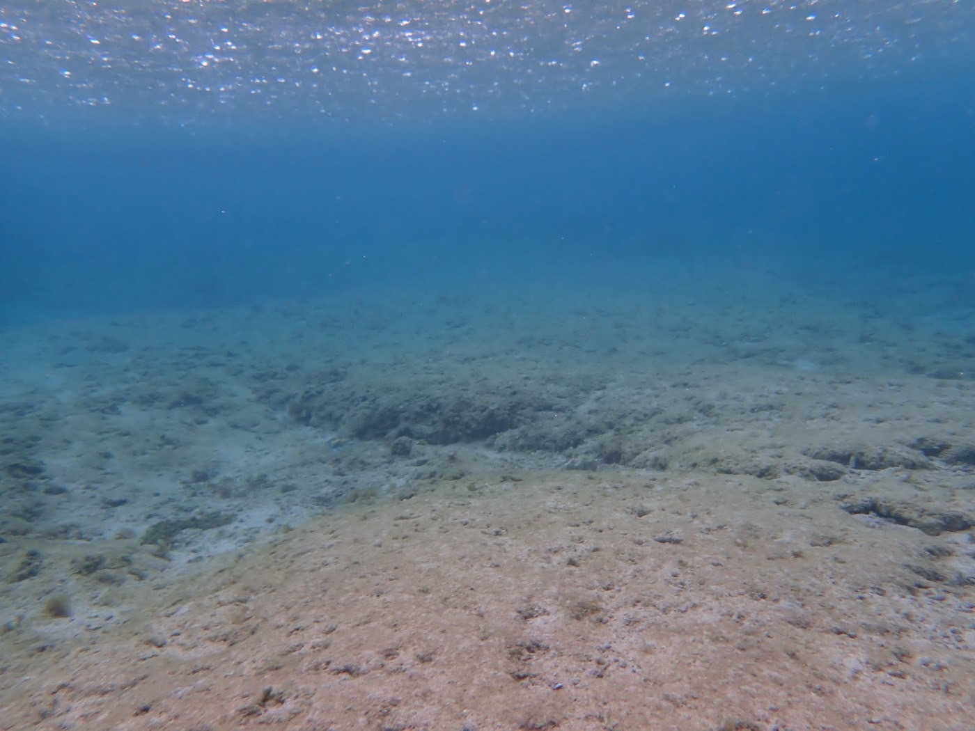 天然水族感あふれる水深の浅い海底と、水面に光が差し込む海中景観