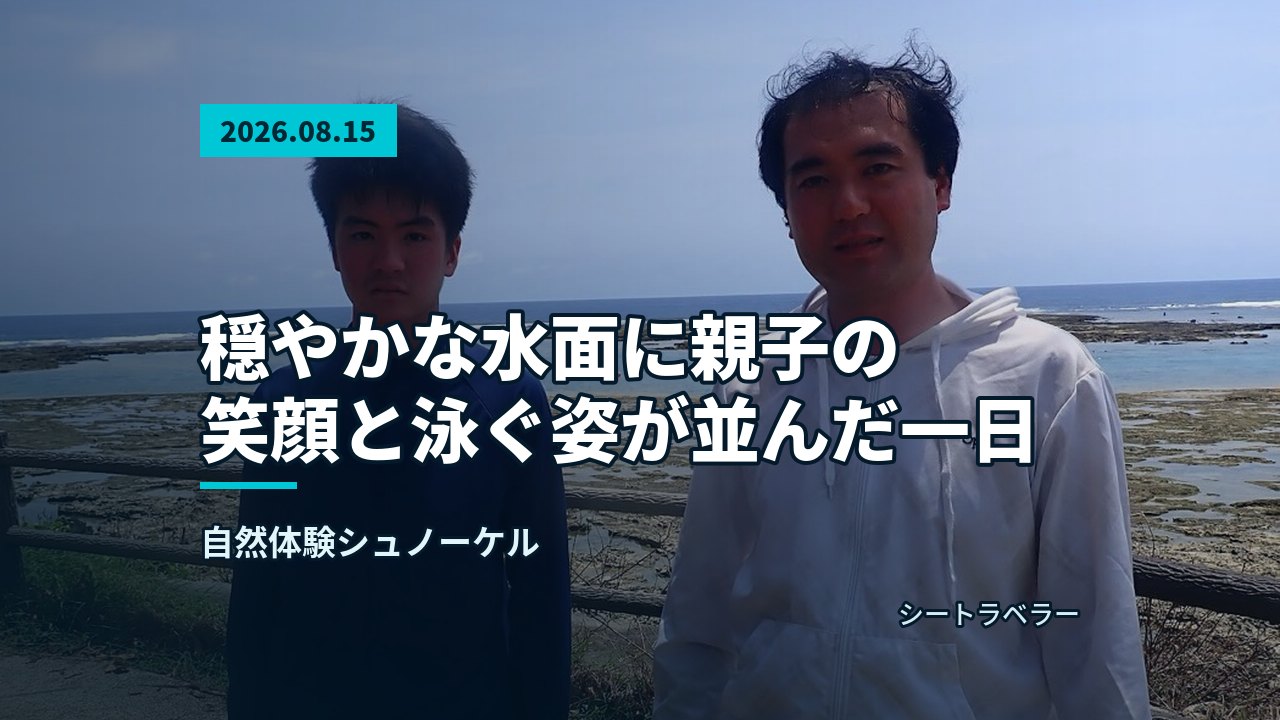海底の大きなサンゴのそばを鮮やかな色の魚が泳いでいる