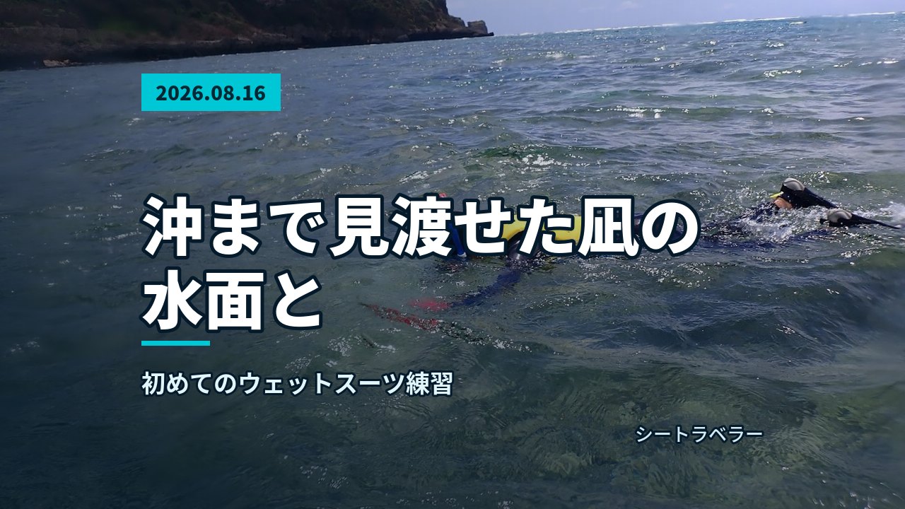 沖合でシュノーケルを楽しむ参加者と、遠くに見える海岸の風景