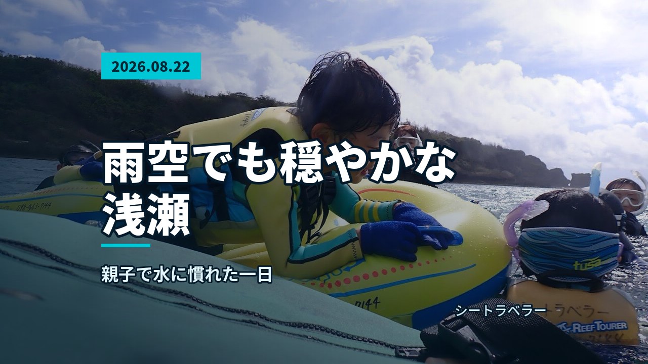 リーフの浅瀬を歩き、海へ向かう参加者の様子
