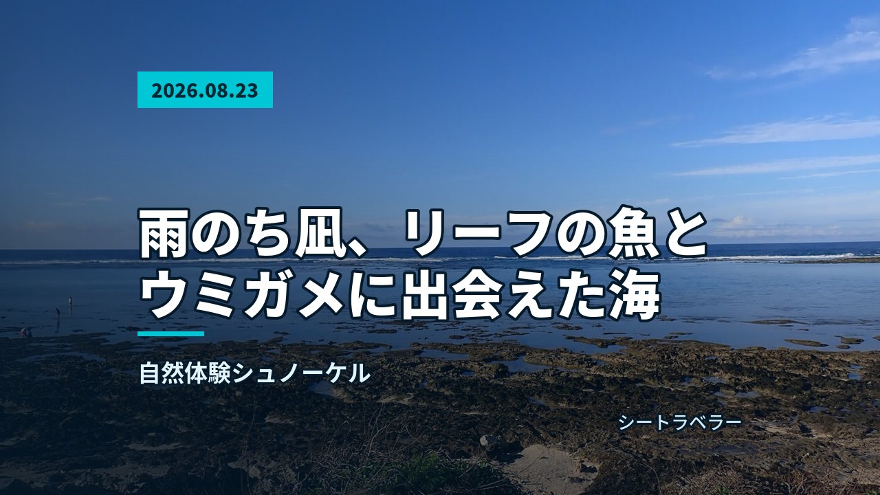 海底の緑の海藻とサンゴの間に横たわるウミガメ