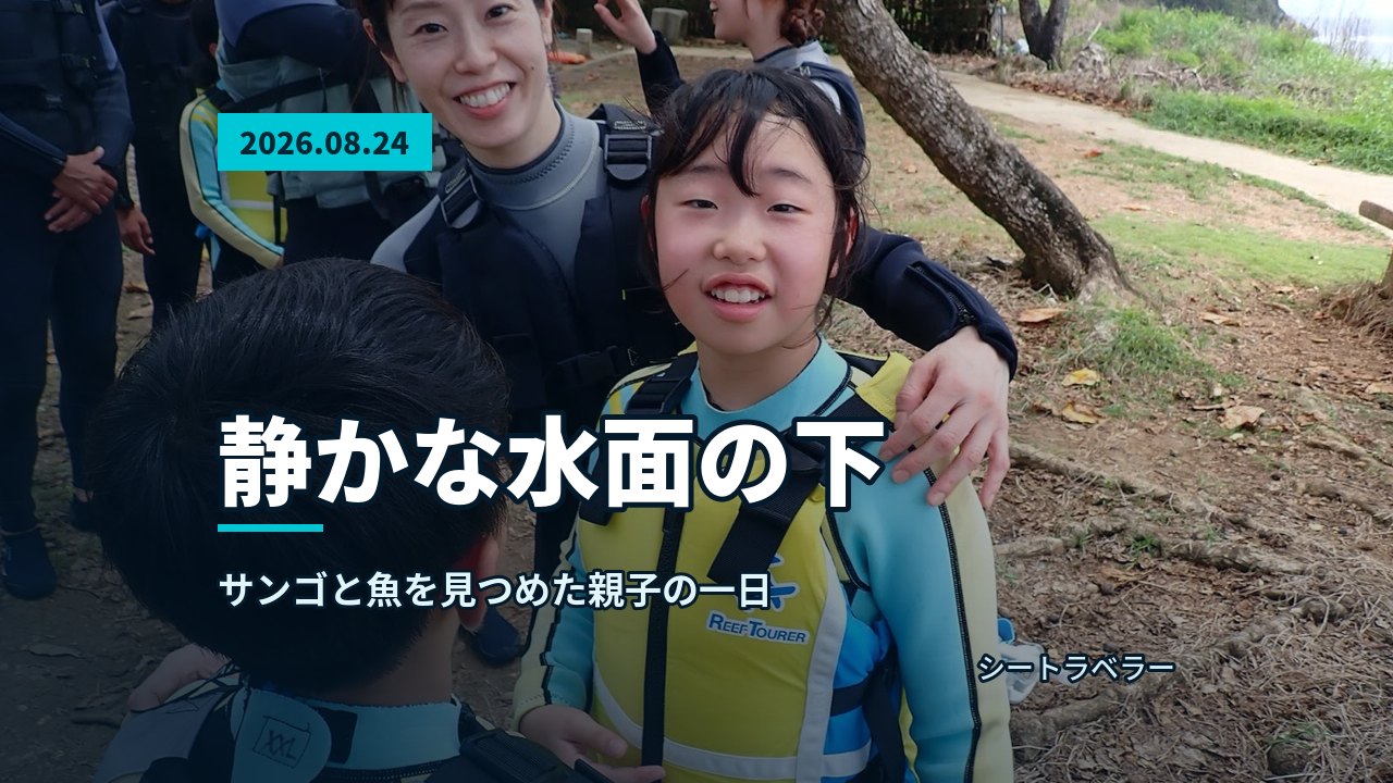 海底のサンゴ礁と、その周りに集まる小さな青い魚