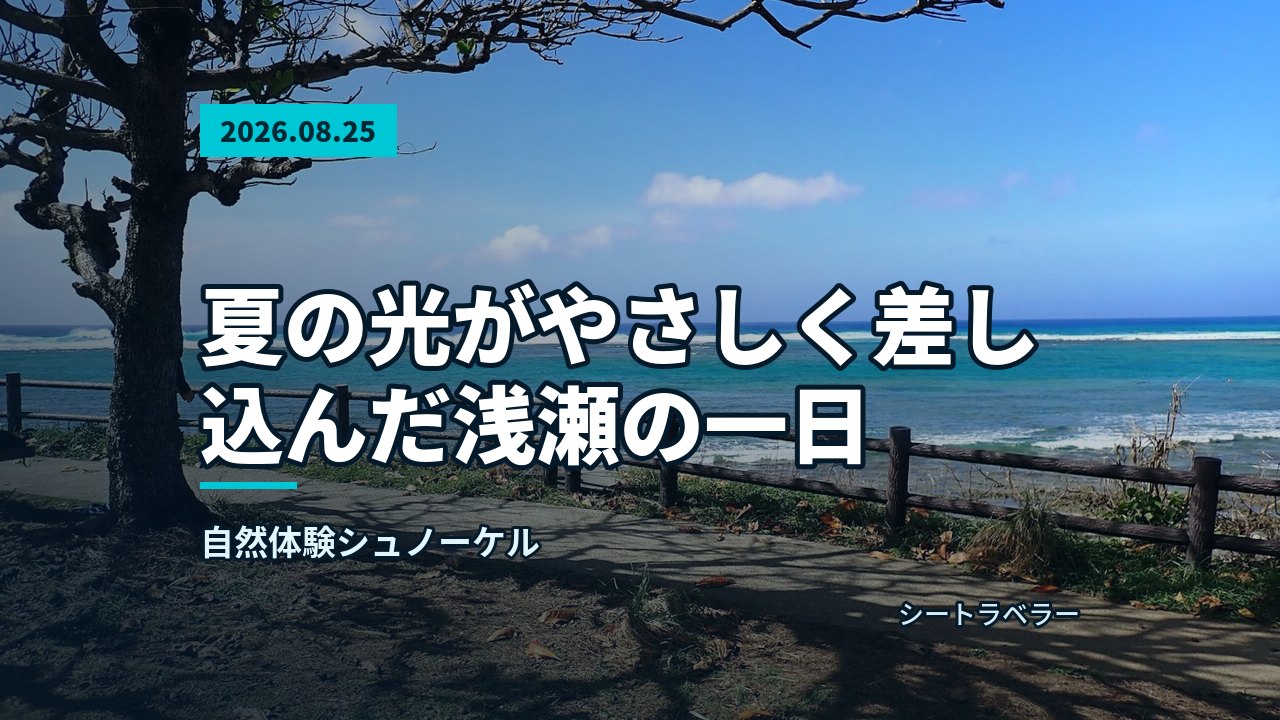沖縄の海岸線と青い空、サンゴ礁に砕ける波が広がるあふれる風景