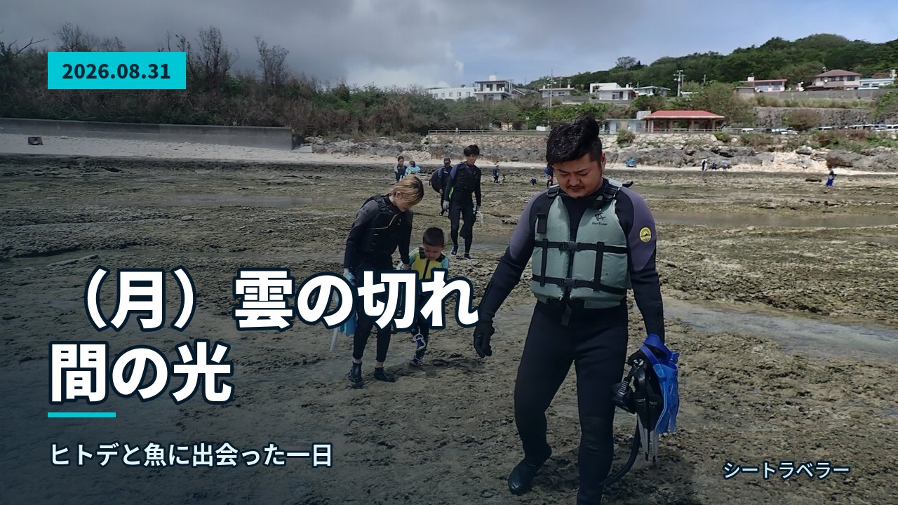 2026年8月31日(月)雲の切れ間の光、ヒトデと魚に出会った一日