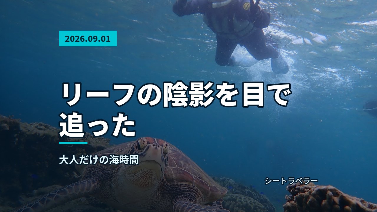 2026年9月1日(火)リーフの陰影を目で追った、大人だけの海時間
