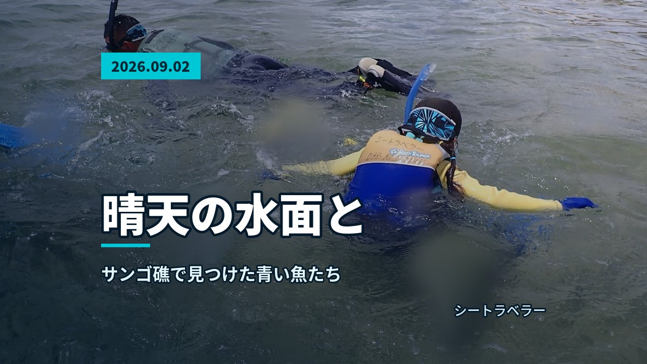 あふれる穏やかな水面で、担当の池田が参加者にシュノーケルでの泳ぎ方を教えている。透明度の高い海が広がる