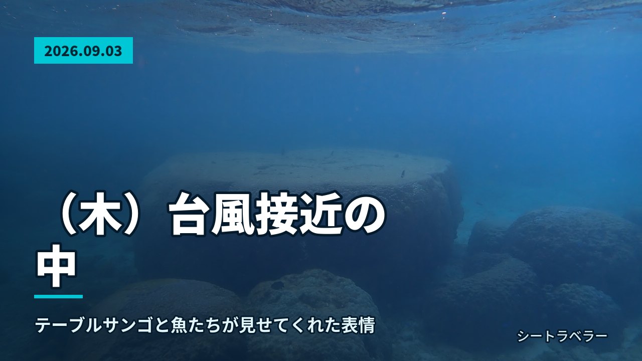 2026年9月3日(木)台風接近の中、テーブルサンゴと魚たちが見せてくれた表情
