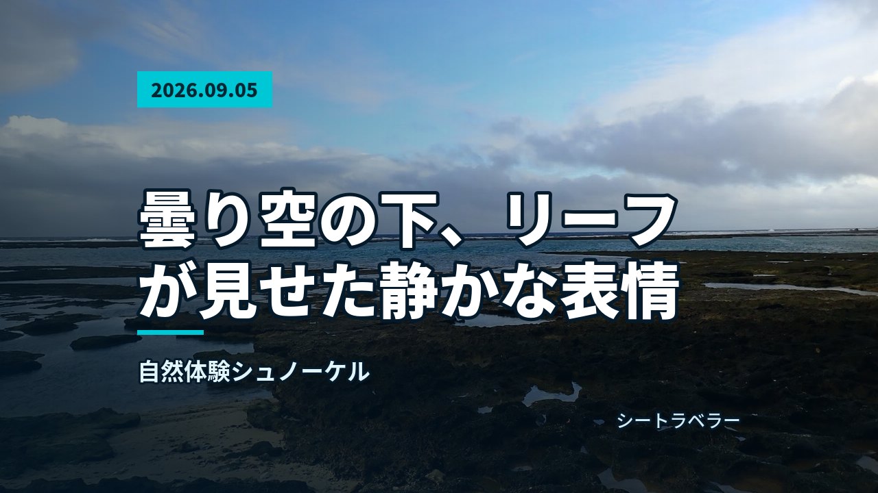 2026年9月5日 曇り空の下、リーフが見せた静かな表情