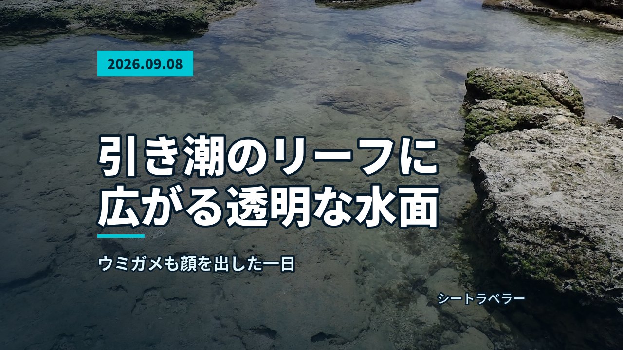 海岸に広がる引き潮のリーフと澄んだ水面