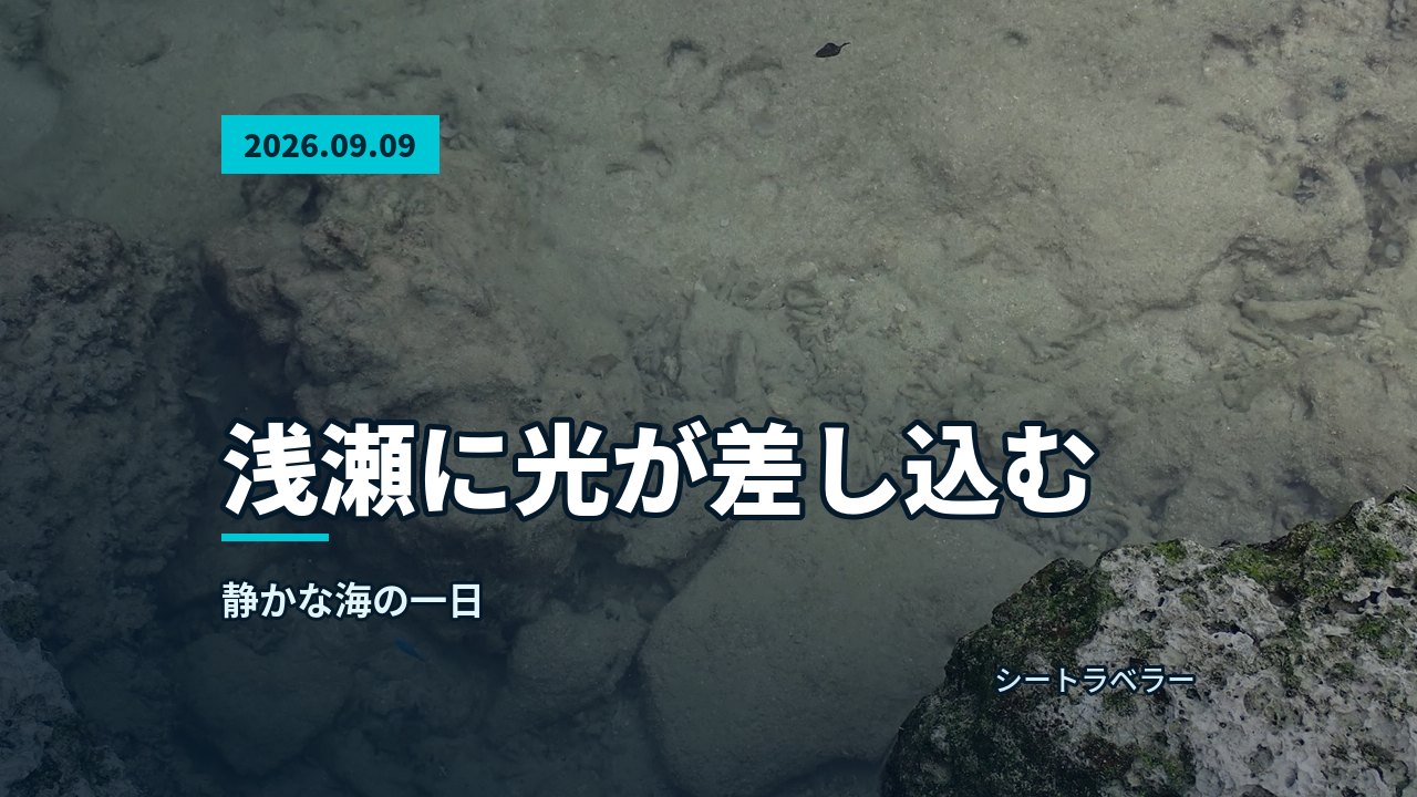 透明な浅瀬の水中には岩と砂地が広がり、小さな魚が見える。が漂う