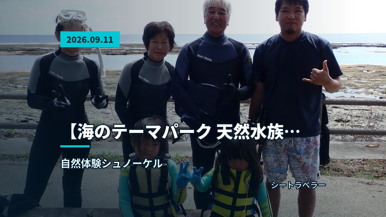 海岸を背景に、ウェットスーツ姿の参加者が笑顔で集合する