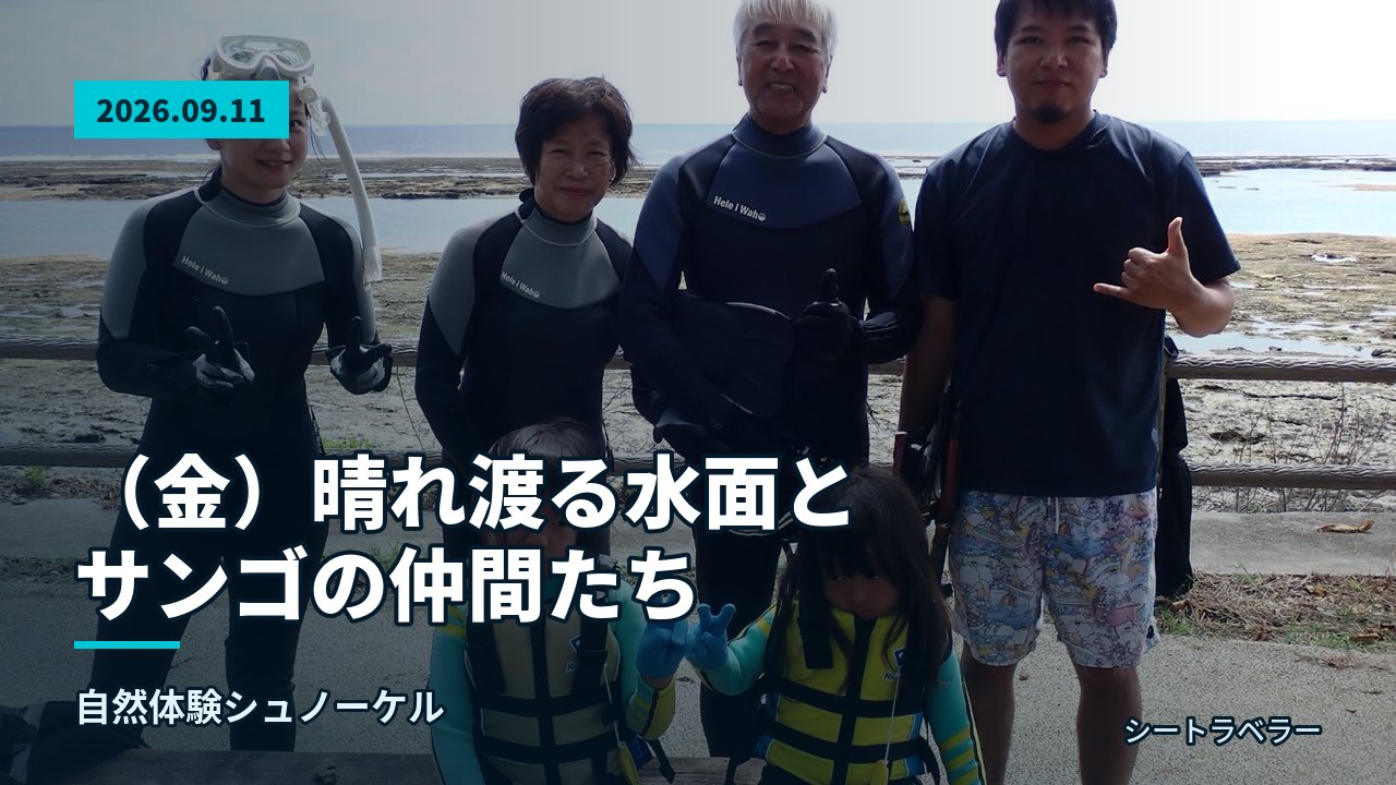 を背景に、ウェットスーツ姿で並んで立つ参加者の集合写真