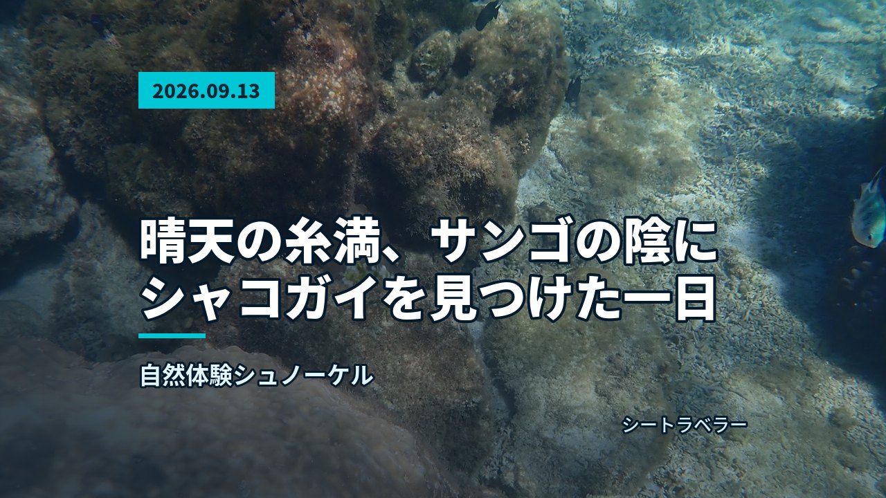 浅瀬の海底に広がるサンゴと岩場の