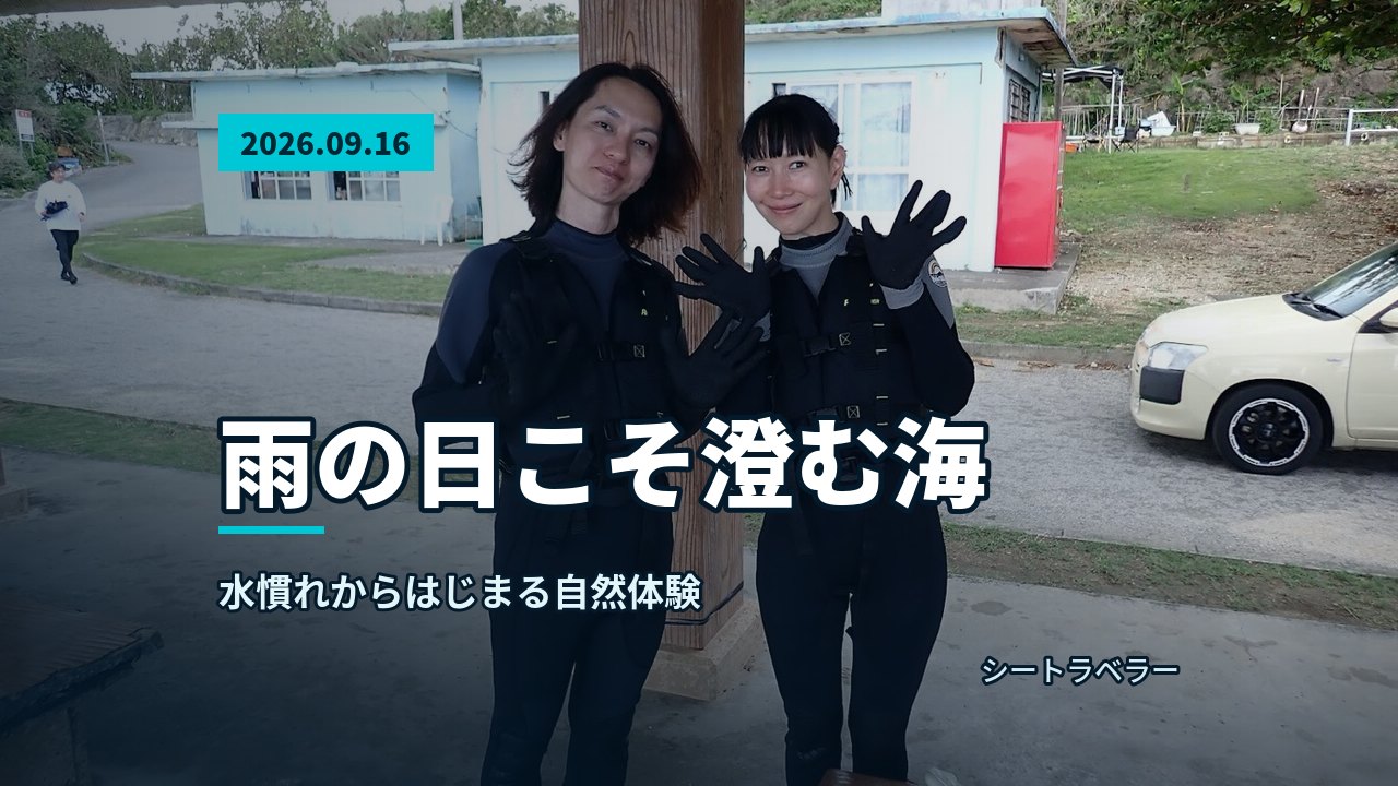 あふれる水深の浅い海底と、水面に光が差し込む海中景観