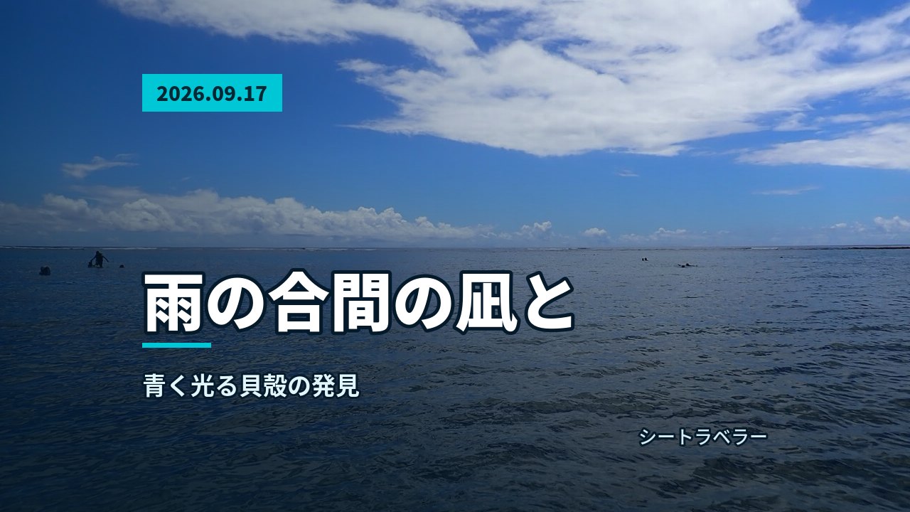 ある穏やかな水面と沖まで広がる青い海の様子