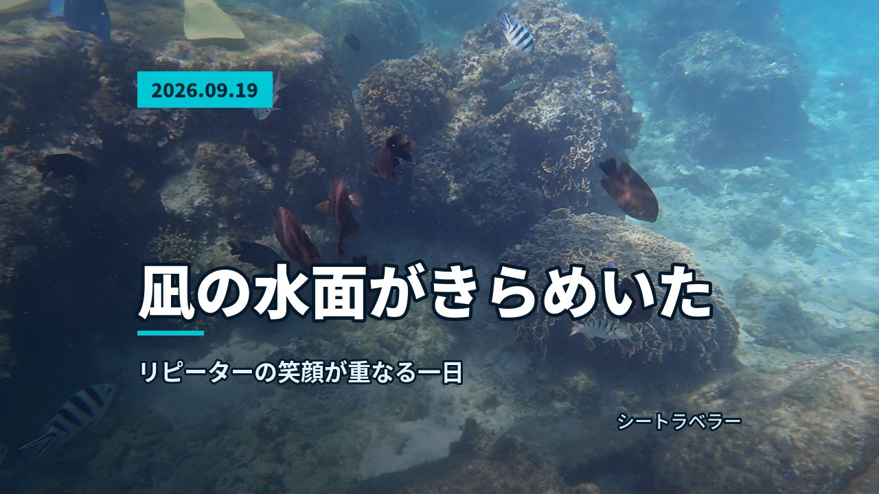 2026年9月19日|凪の水面がきらめいた、リピーターの笑顔が重なる一日