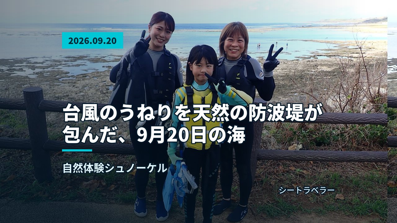 台風のうねりを天然の防波堤が包んだ、9月20日の海