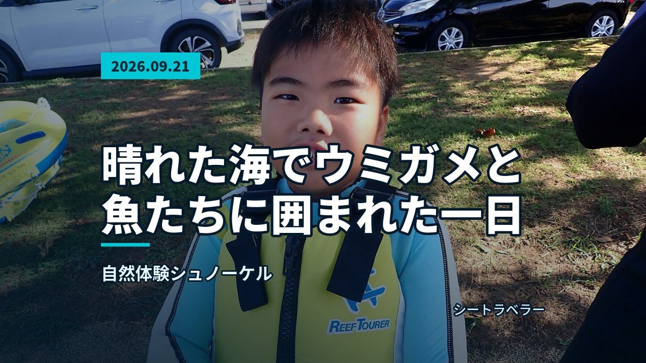 2026年9月21日(月)晴れた海でウミガメと魚たちに囲まれた一日