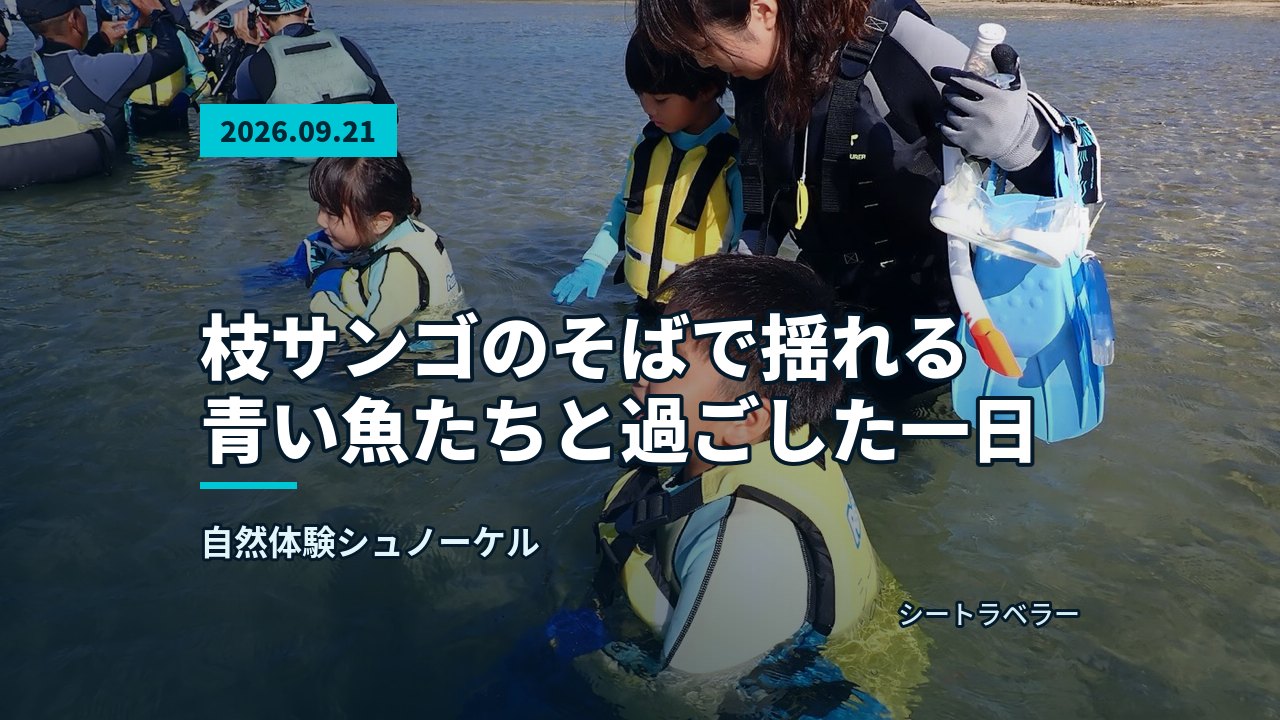 ある浅瀬で担当の池田が小さなお子様に器材の使い方を説明