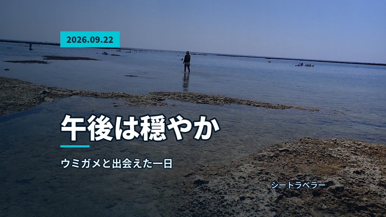 9月22日(火)午後は穏やか、ウミガメと出会えた一日