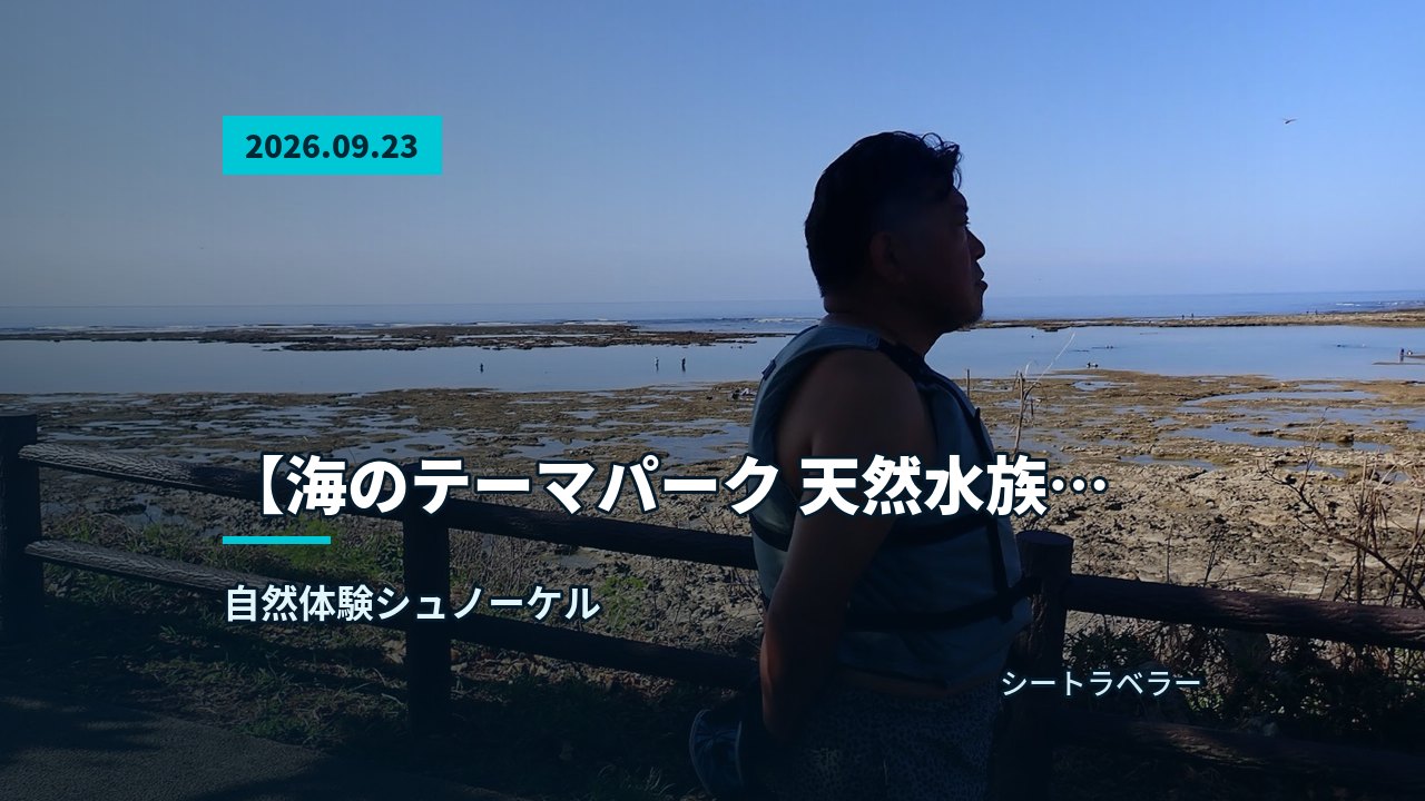 あふれる、シュノーケルをする参加者の近くを泳ぐウミガメ