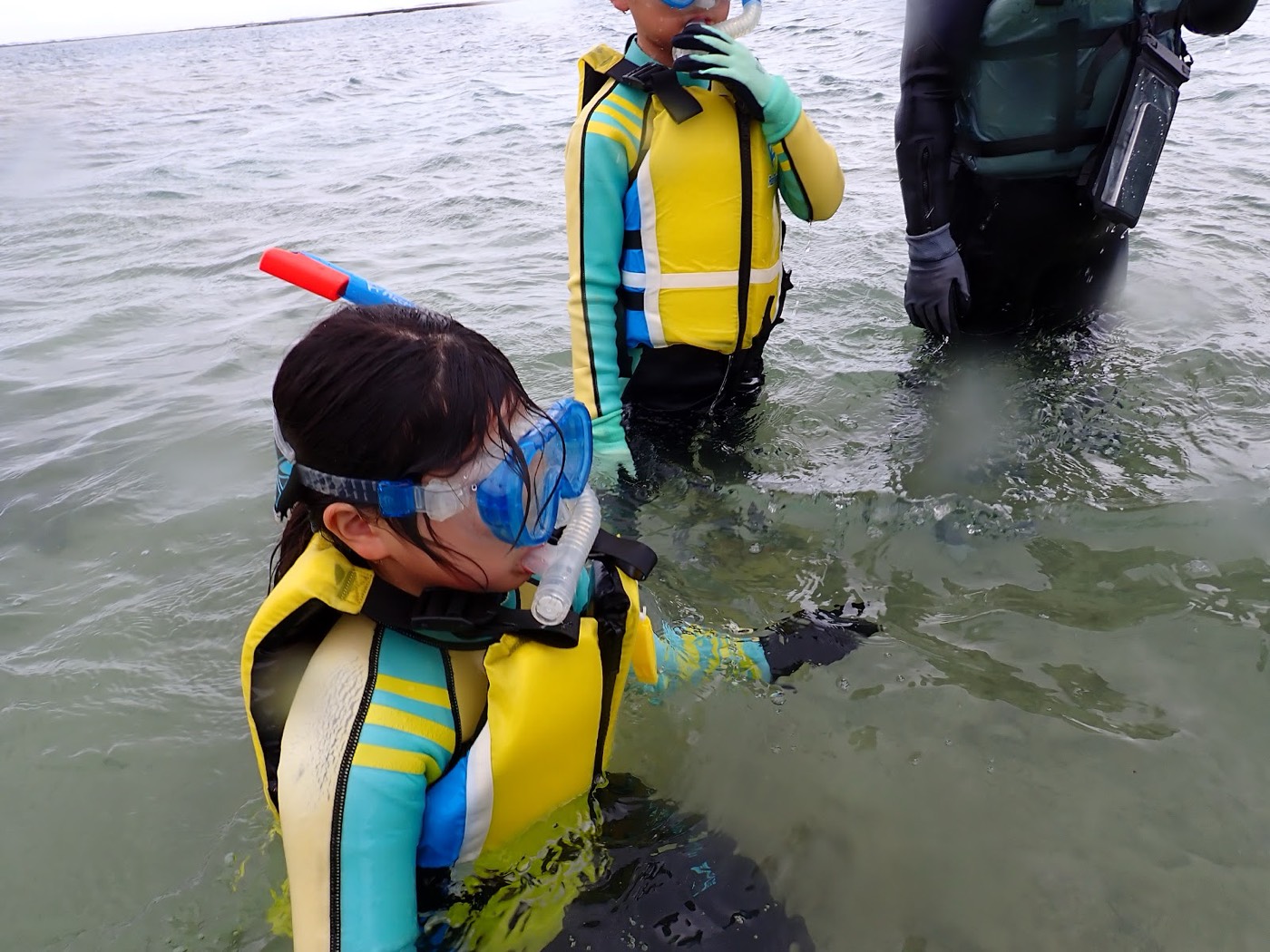 浅瀬でマスクとシュノーケルを装着し、水に慣れる参加者