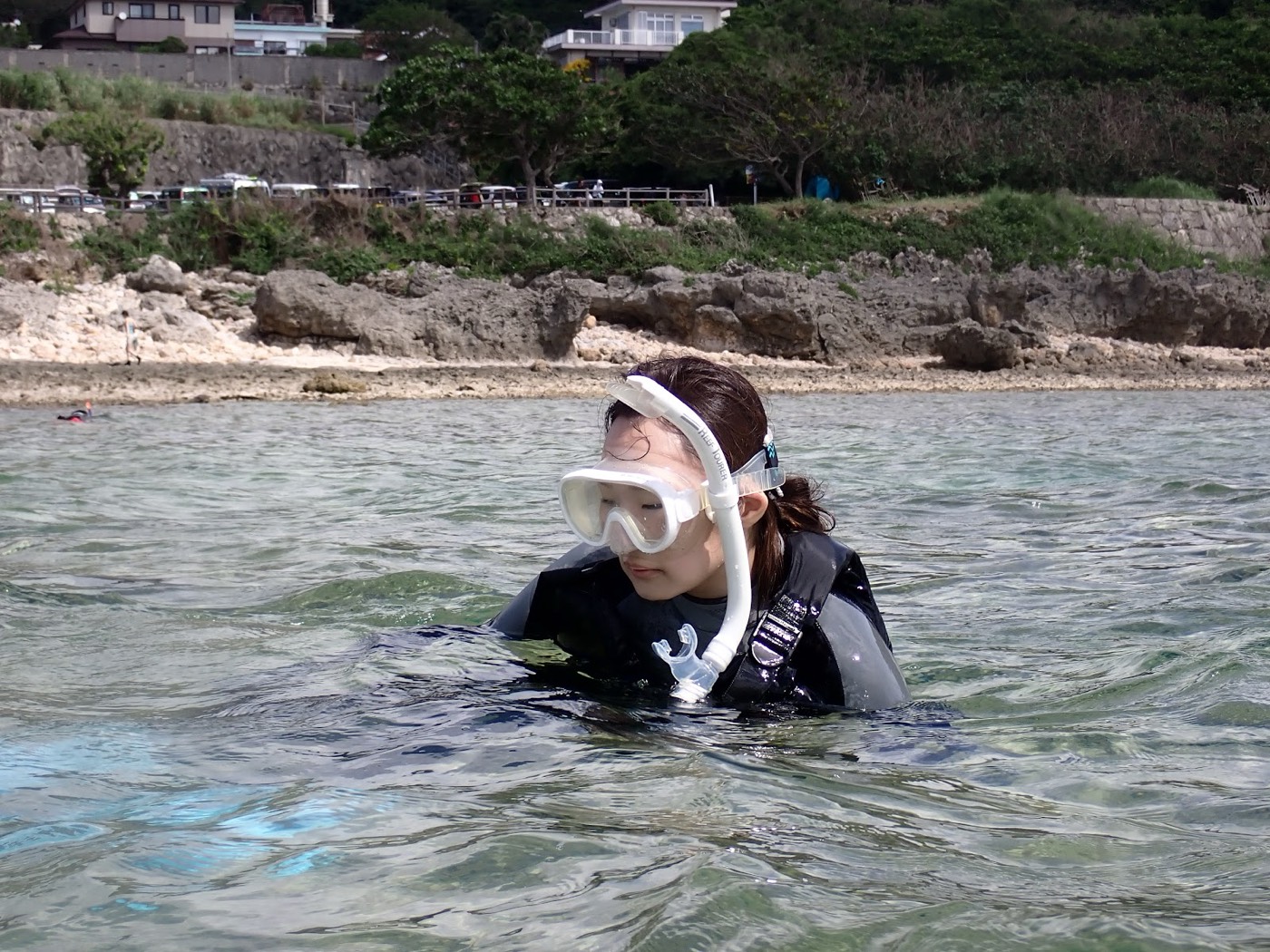 浅瀬でマスクを着けて水中を観察する参加者。『天然水族感』の看板は確認できない