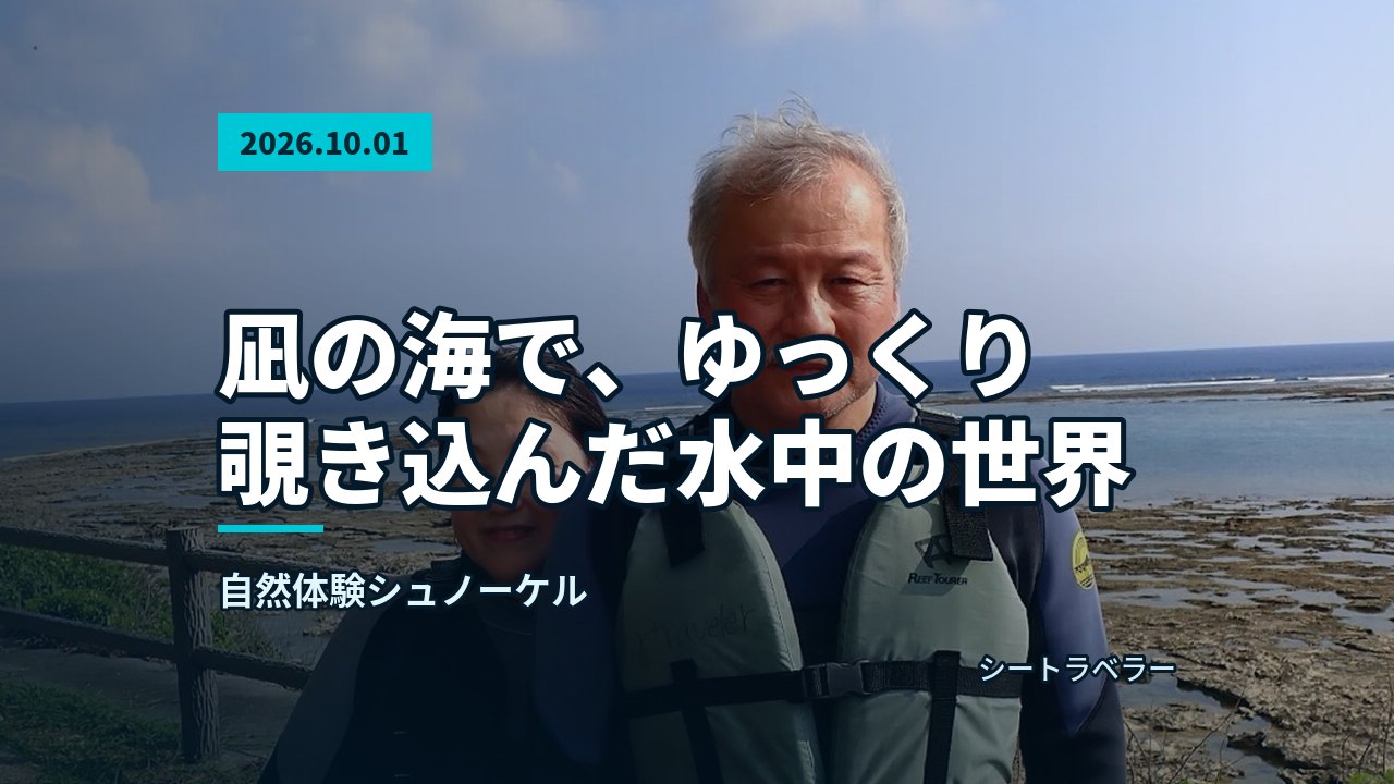 2026年10月1日(木)凪の海で、ゆっくり覗き込んだ水中の世界