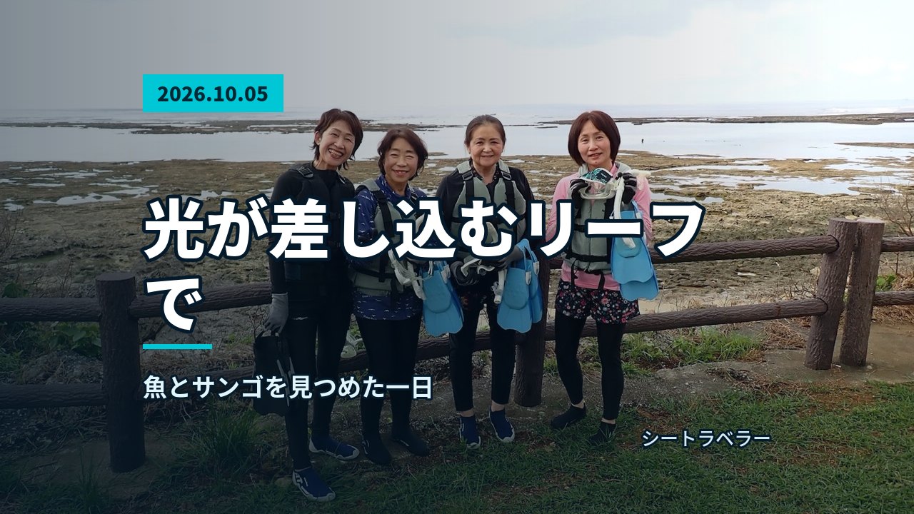 2026年10月5日(月)光が差し込むリーフで、魚とサンゴを見つめた一日