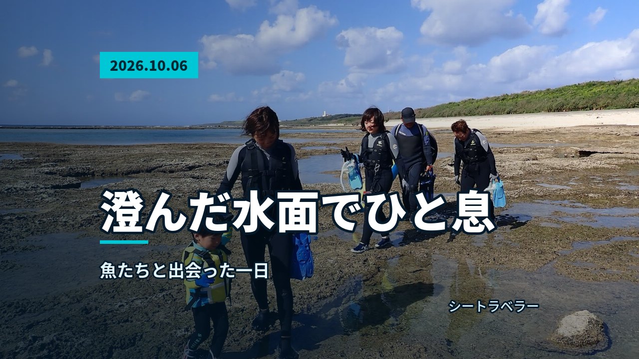 2026年10月6日(火)澄んだ水面でひと息、魚たちと出会った一日