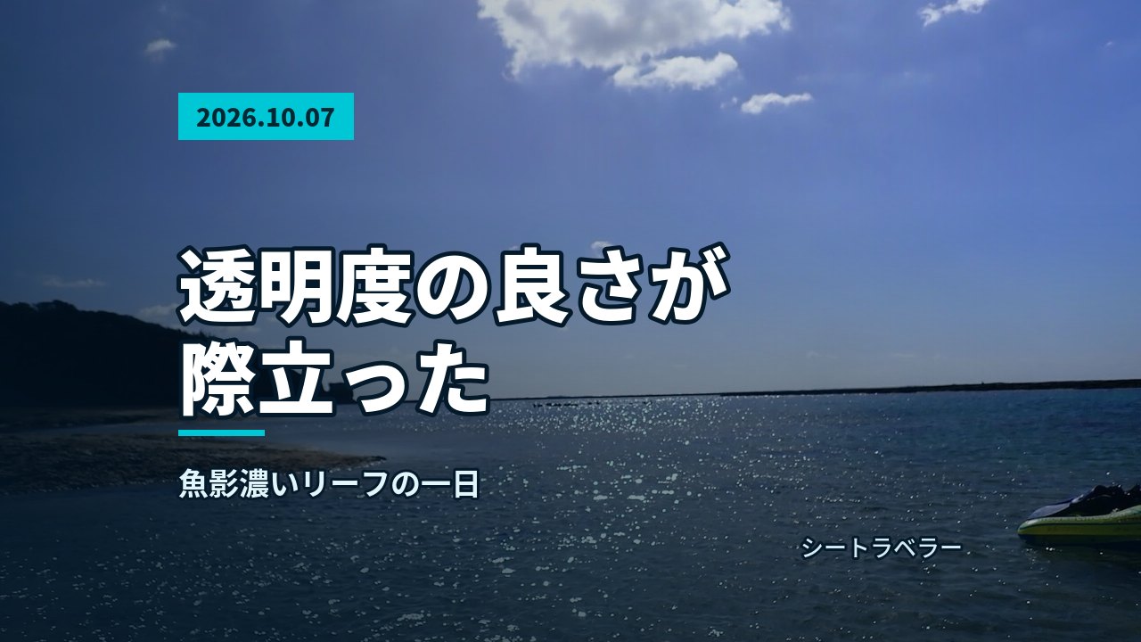 2026年10月7日(水)透明度の良さが際立った、魚影濃いリーフの一日
