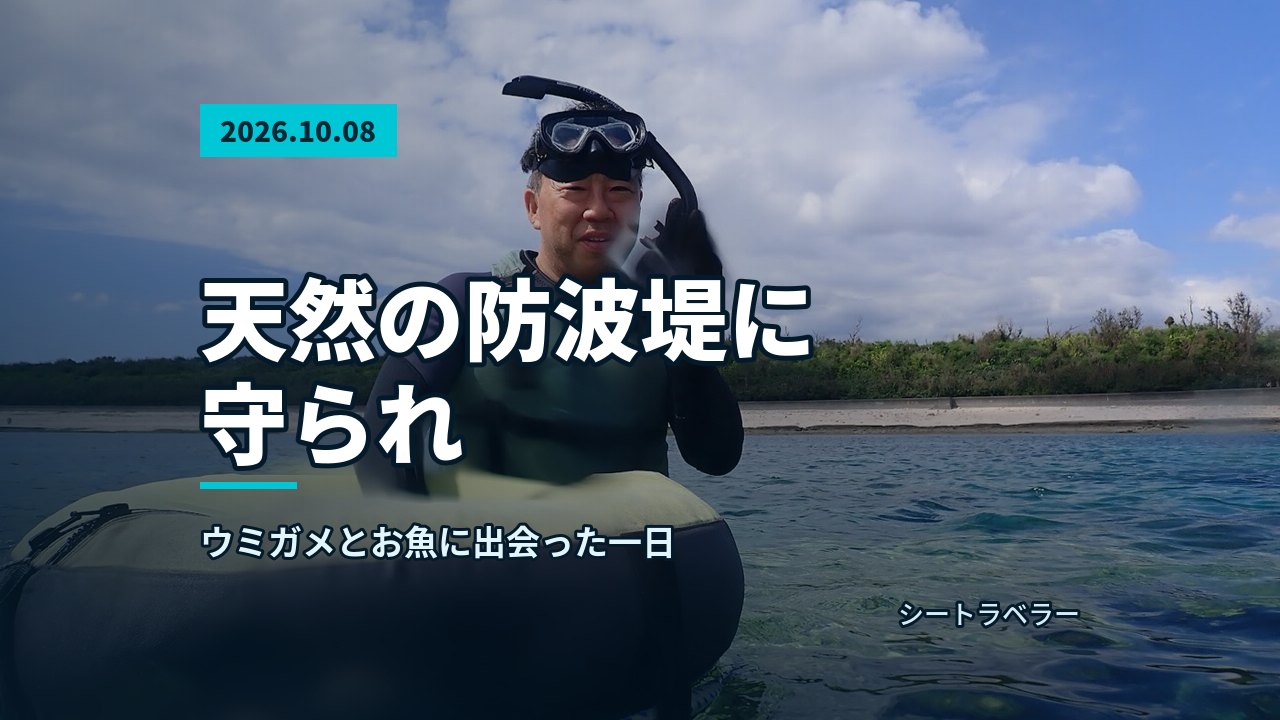 2026年10月8日(木)天然の防波堤に守られ、ウミガメとお魚に出会った一日