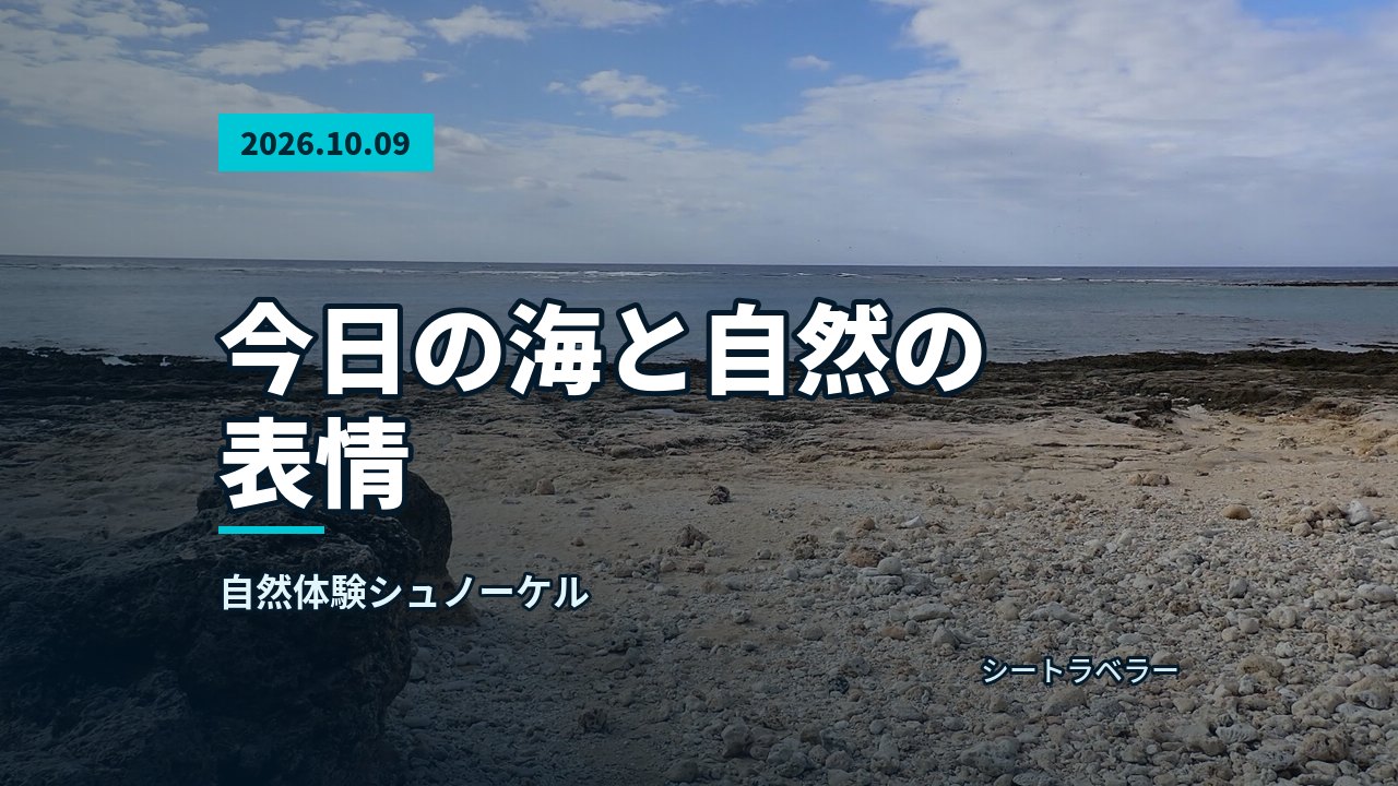 今日の海と自然の表情