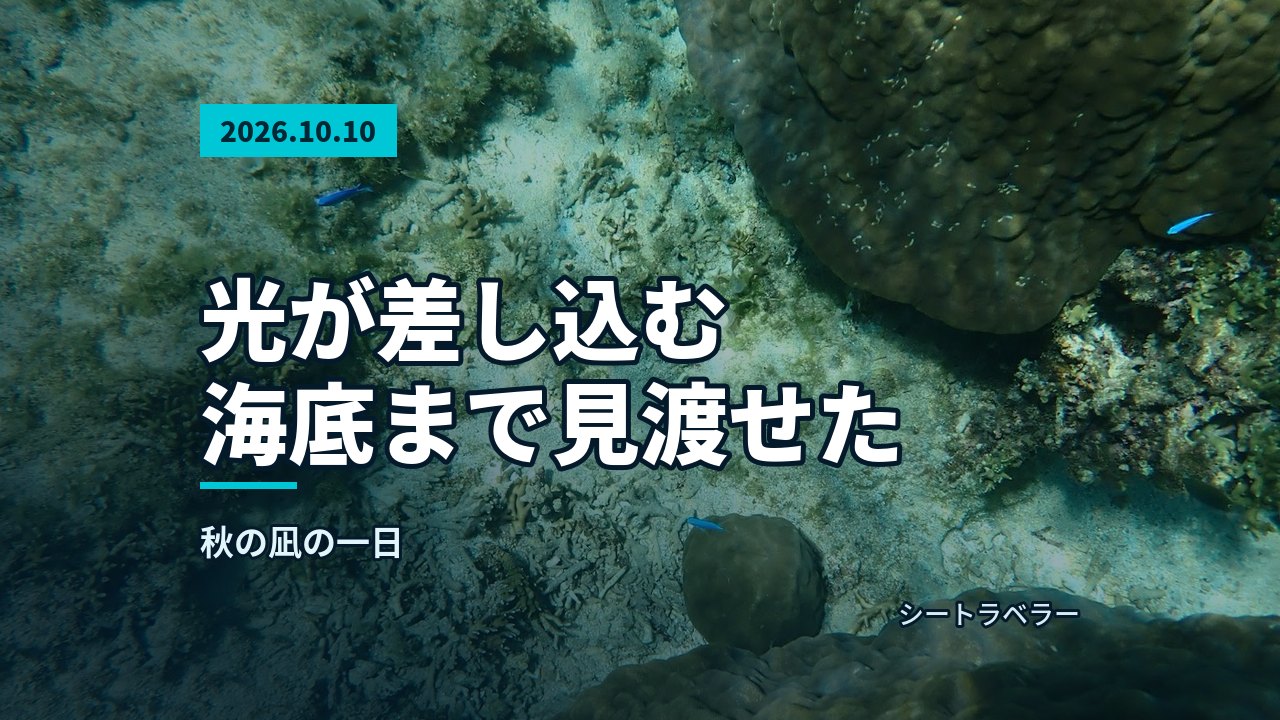2026年10月10日 光が差し込む海底まで見渡せた、秋の凪の一日