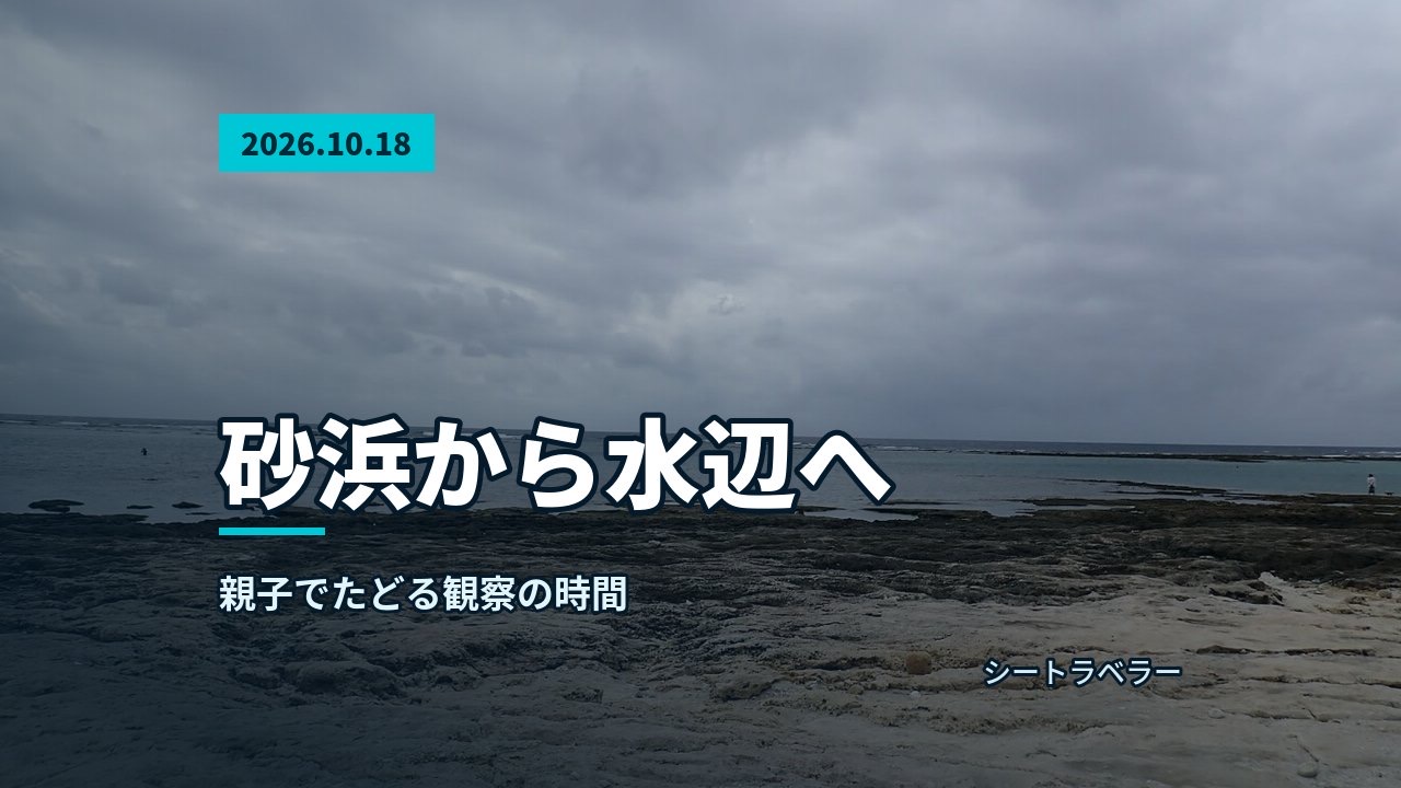 2026年10月18日 砂浜から水辺へ、親子でたどる観察の時間