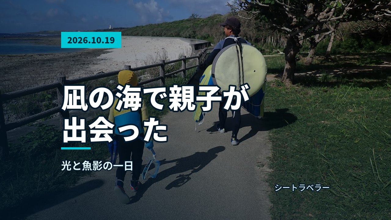 2026年10月19日(月)凪の海で親子が出会った、光と魚影の一日